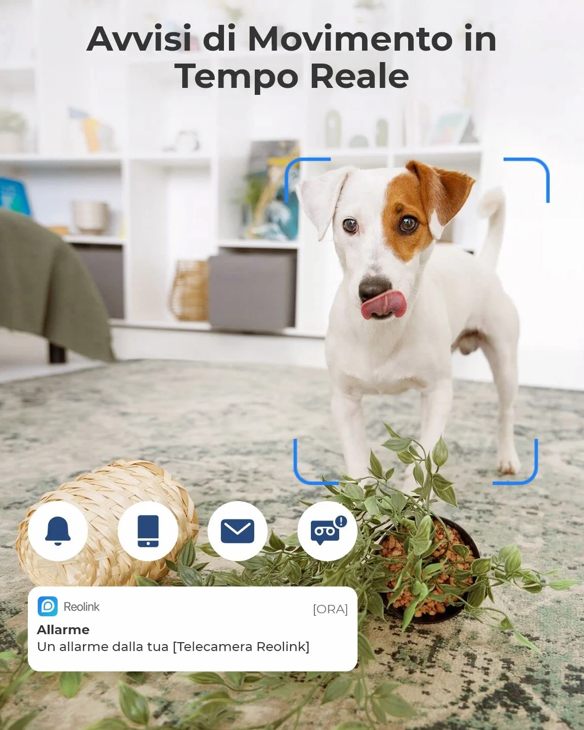 Reolink Telecamera WiFi Interno 3MP Pan/Tilt E1 Ricondizionato, Sorveglianza 2.4GHz Audio 2 Vie Visione Notturna Rilevazione Movimento