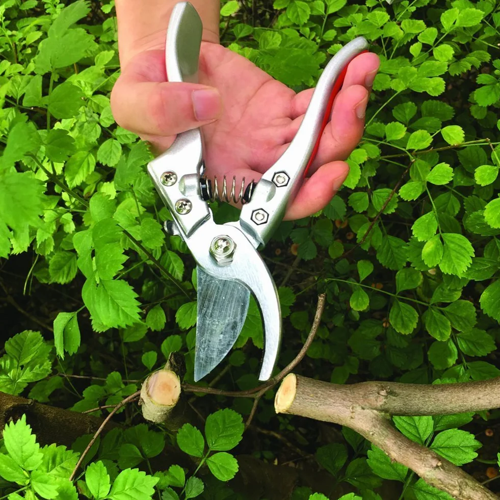 Forbici da Giardinaggio Cesoie da Potatura Lama Acciaio Inossidabile Troncarami per Piante Bonsai Fiori Siepi