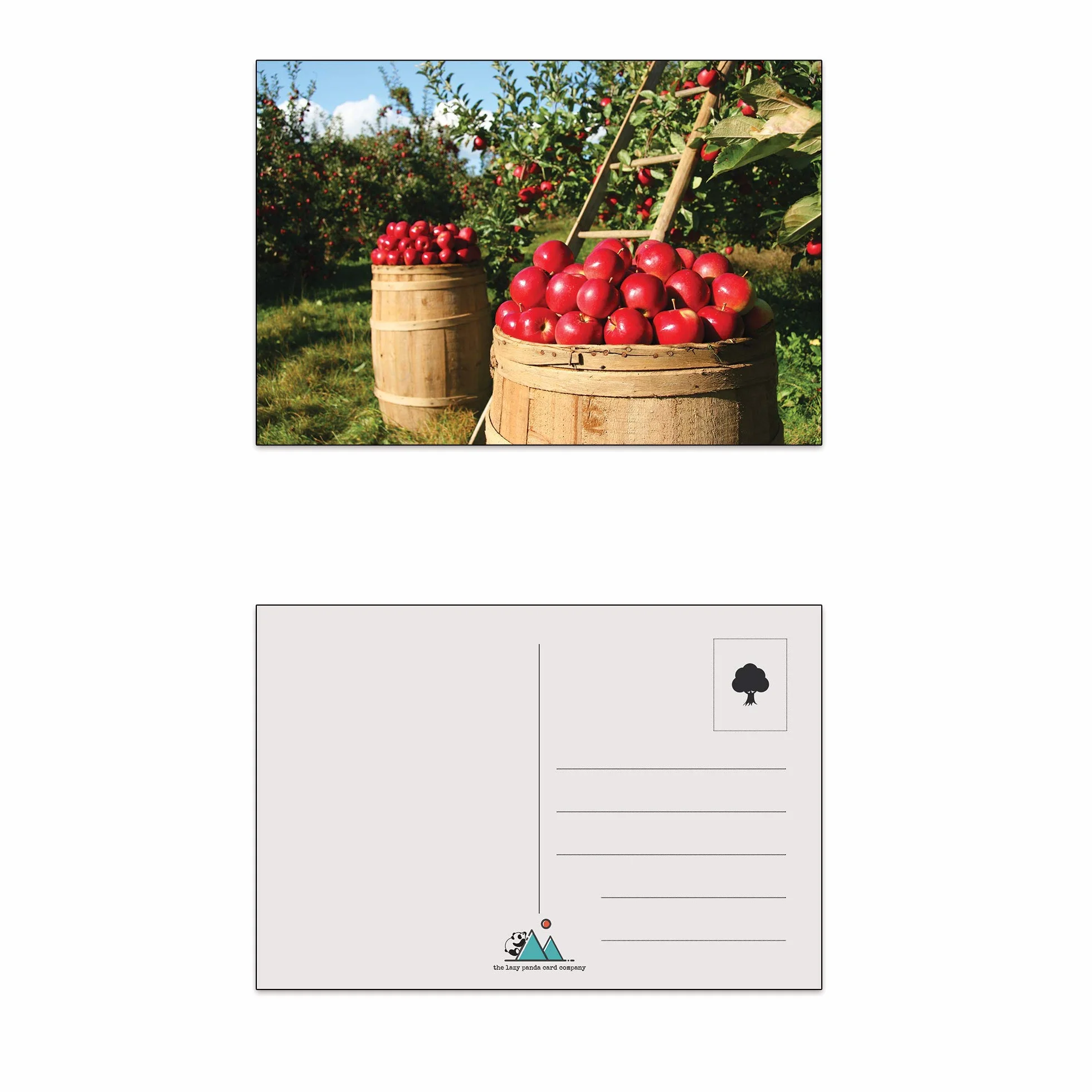 Cartoline Paesaggi 100 sztuk