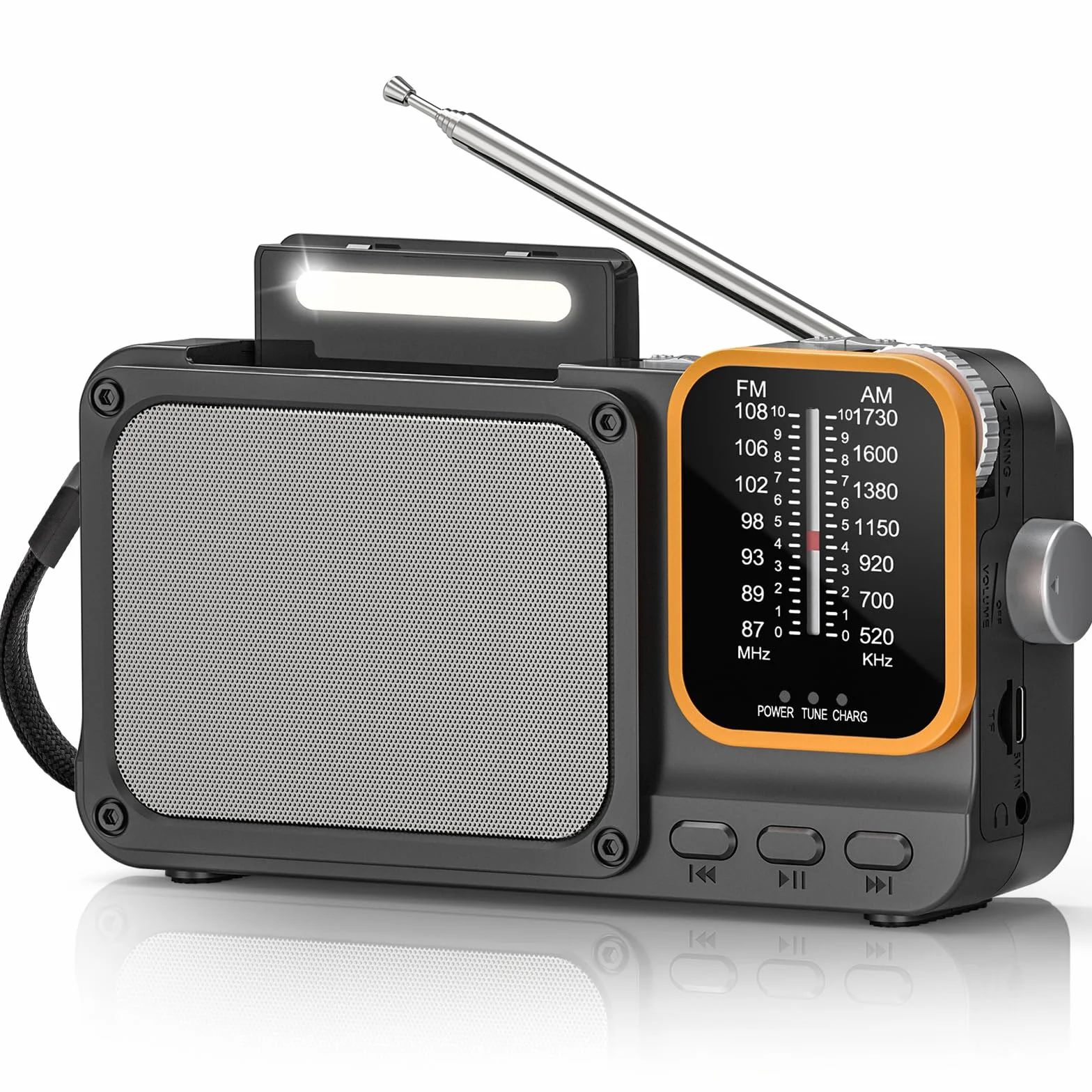Tendak Radio Portatile FM/AM Ricaricabile 2400mAh Bluetooth Luce Lettura TF