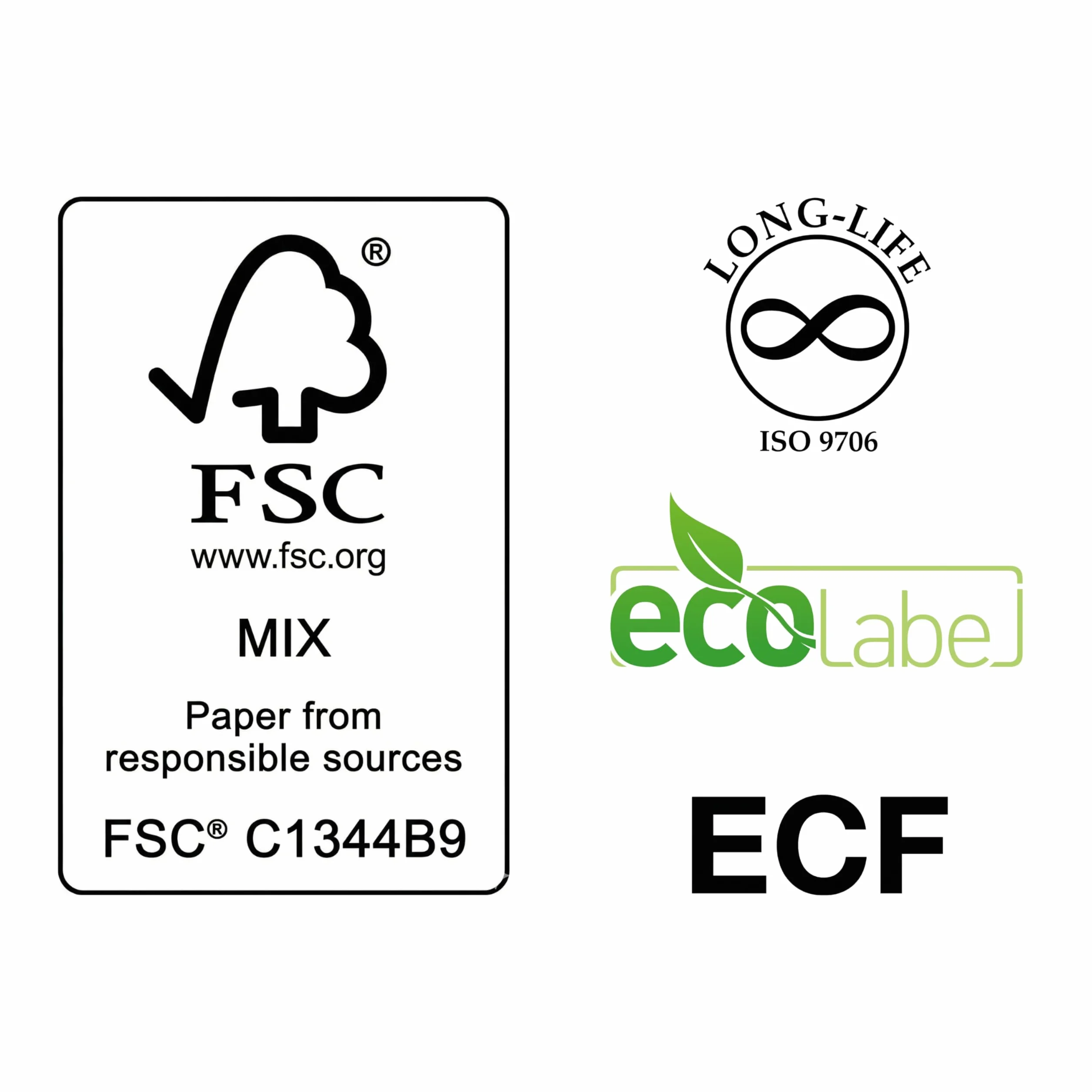 Everyday Carta A4 Pacco 5 Risme 2500 Fogli per Stampante Laser Inkjet FSC ECF