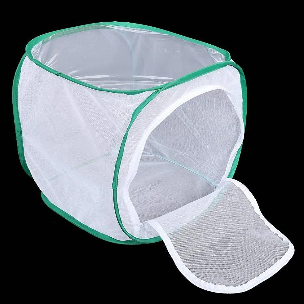 Gabbia pieghevole per farfalle 30x30x30 cm Habitat insetti rete cerniera