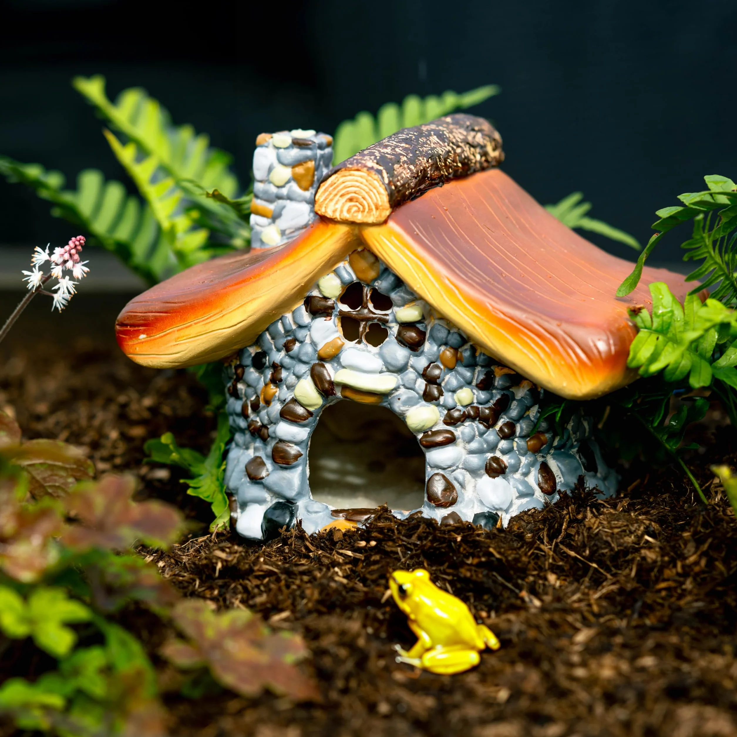 Garden Mile Casa per rane per laghetto da giardino, accessori per terrario per rettili, nascondigli e grotte per rettili, casa per rospi, accessori per rettili, nascondiglio per rettili