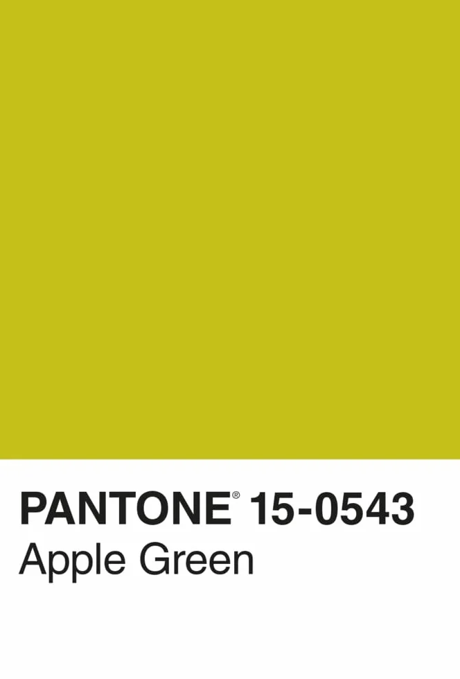 Pantone 100 Postkarten