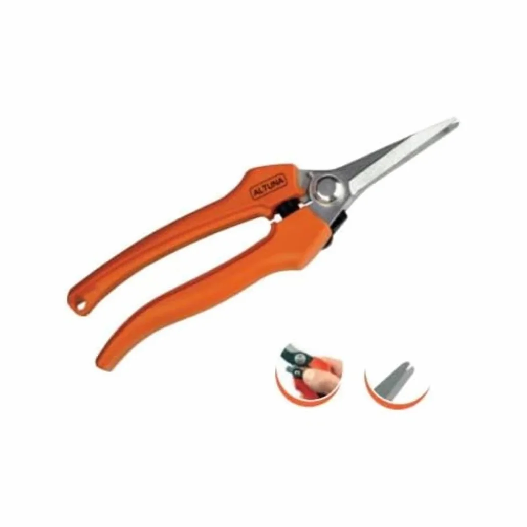 TJRA VENDIMIA RECOLECCION 1261 BLISTER