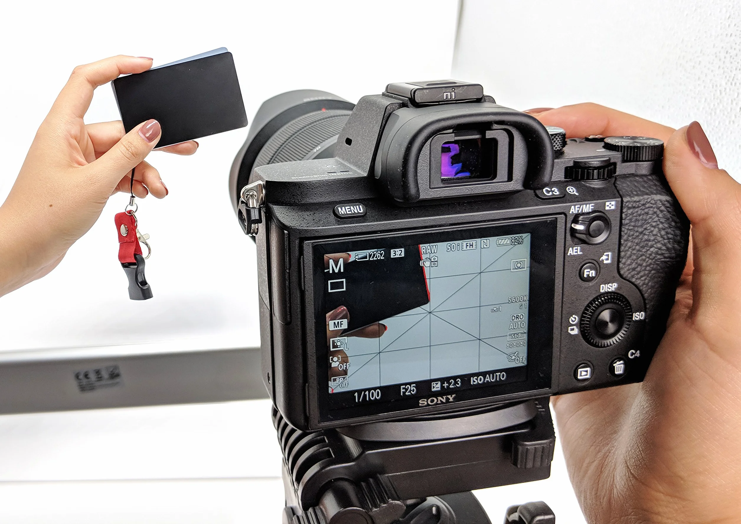 MyGadget Scheda Carta Grigia 3 in 1 18% Grigio Bianco Nero Calibrazione Esposizione Fotografica