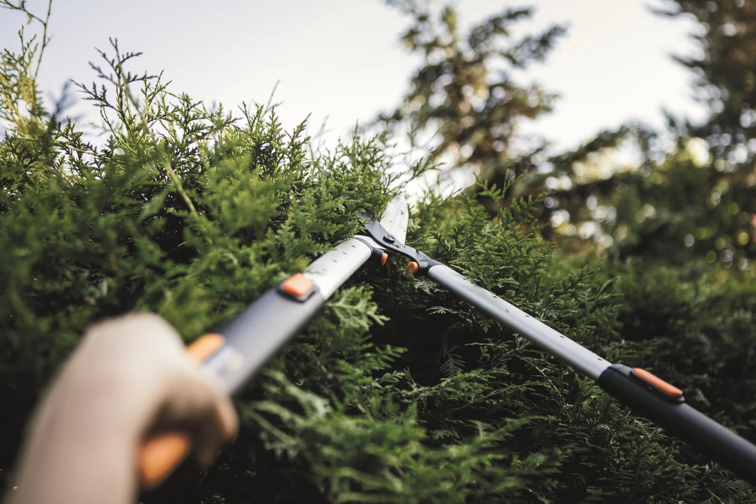 Fiskars SmartFit HS86 Cesoie telescopiche per siepi 68-93 cm Lama acciaio rivestimento antiaderente Nero Arancione