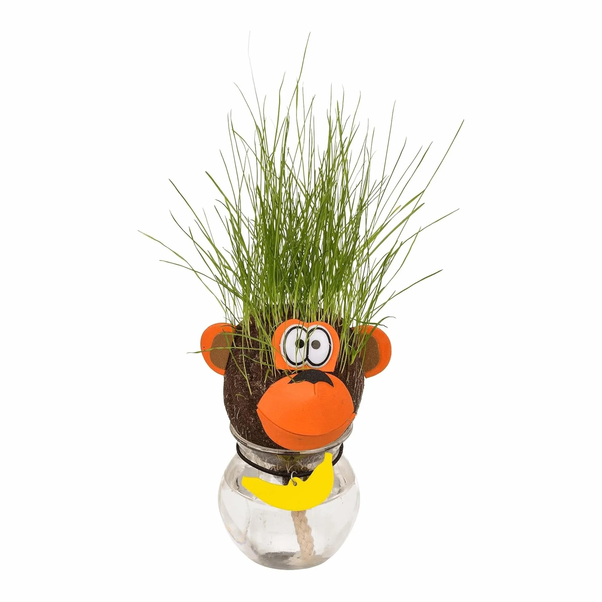 Testa Erba Che Cresce Scimmia - Pianta Capelli Scimmietta con Vasetto e Ciondolo Banana - Idea Regalo Originale Divertente Collega - Decorazione Scrivania Ufficio - Grass Head 12,5 cm