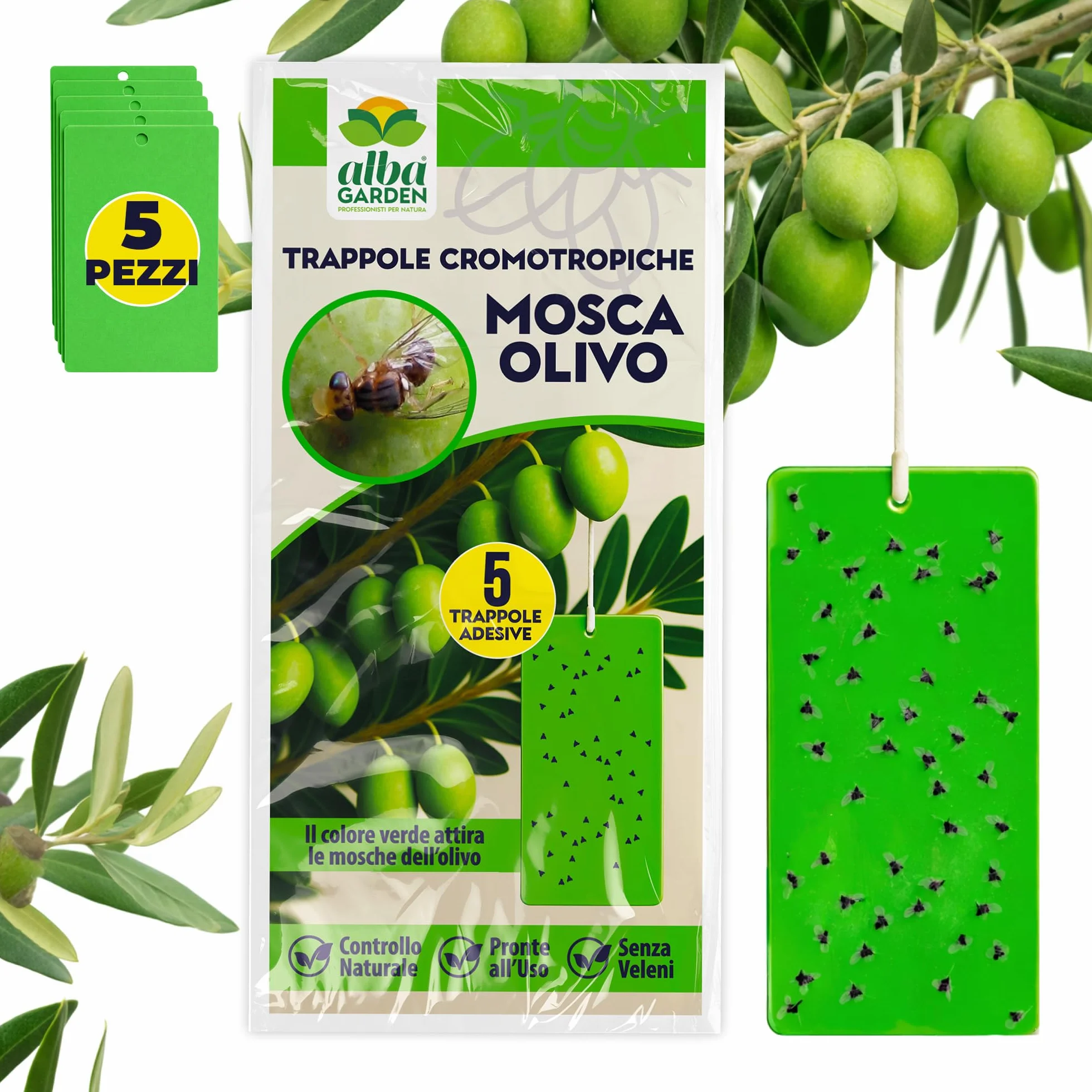 Albagarden - Trappola Cromotropica Verde Per Mosca Dell’olivo - Trappola Adesiva Senza Veleno, Fogli Cattura Insetti, Protezione Per Uliveti E Agricoltura Biologica - 5 Pannelli Appiccicosi
