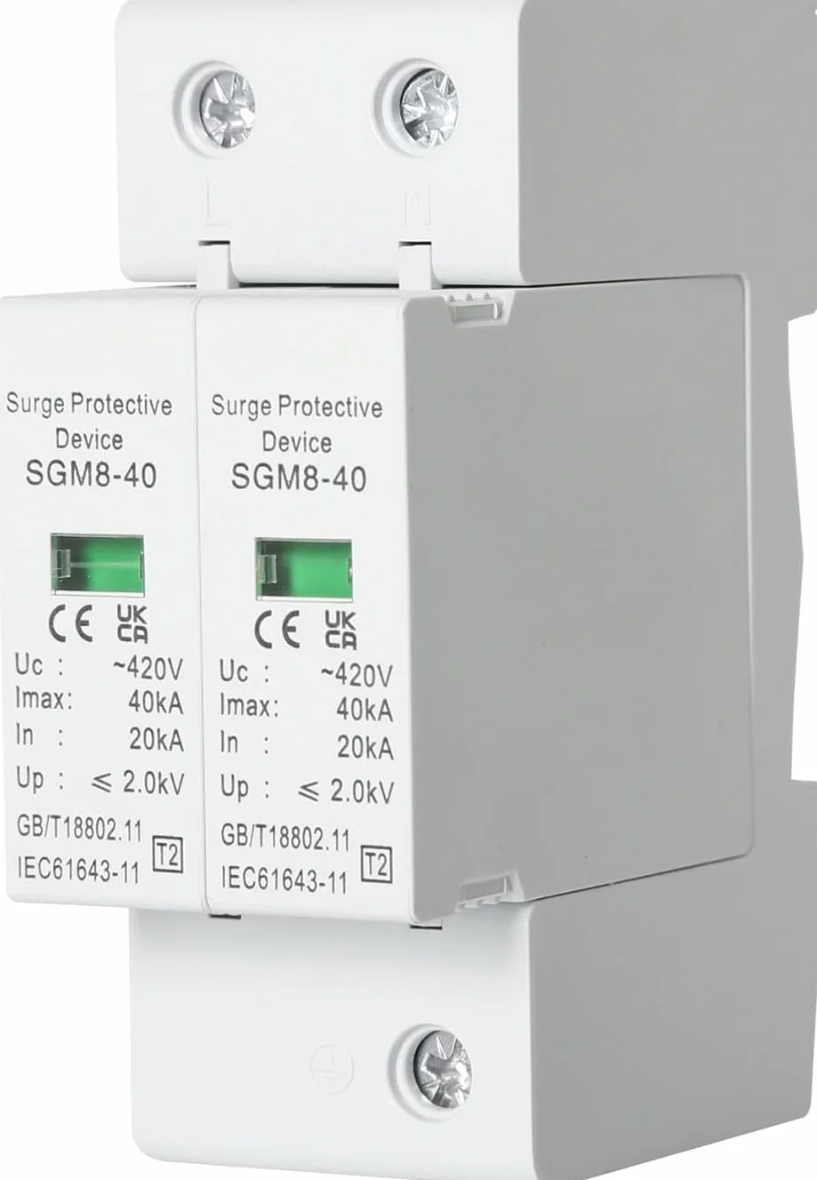 DEWIN Scaricatore di Sovratensione 220V 2P 40kA AC 420V Dispositivo di Protezione Contro le Sovratensioni