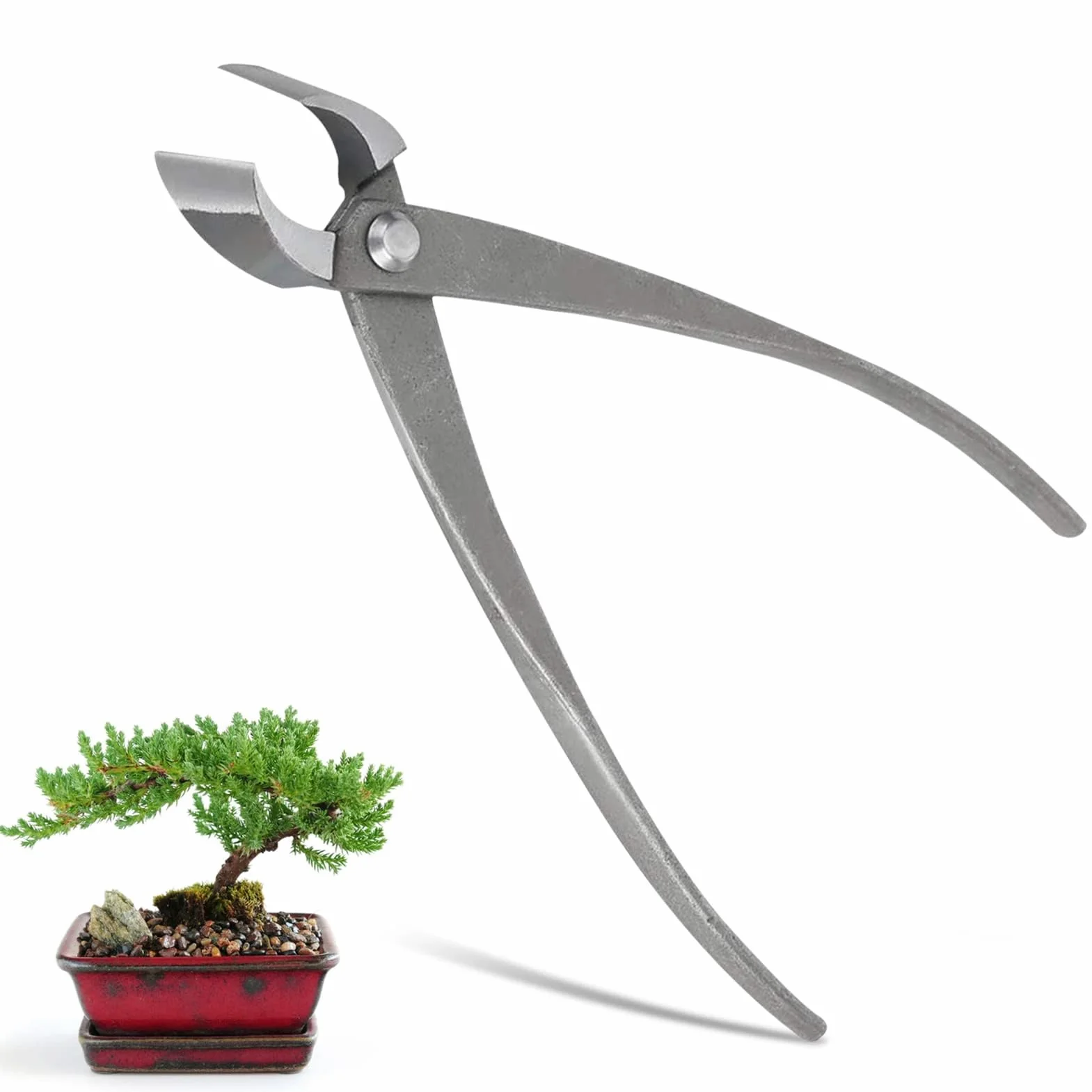 HERCHR Tronchesi Bonsai,Tronchese per Rami,Bonsai Cutter da in Acciaio al Carbonio,Ronchese Concava dal Taglio Dritto per Bonsai,Strumenti per Bonsai,Cesoia da Giardino Multifunzionale 21,3x5,6 cm