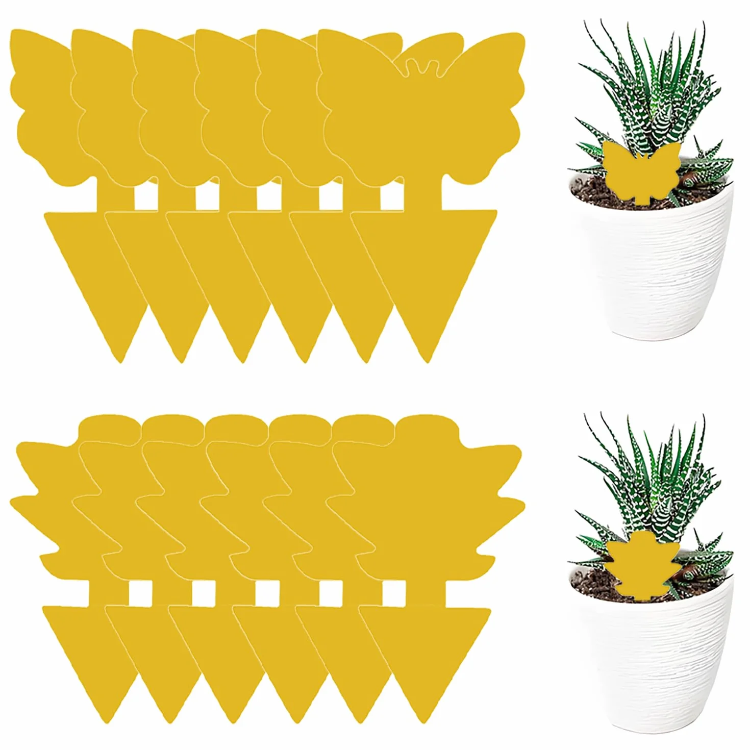 Trappola per Mosche Moscerini (12 Pezzi), Trappola per Mosche Adesivi Gialli, Per Insetti Volanti Contro i parassiti, afidi,moscerini della frutta, Giallo, Farfalla+Succulenta