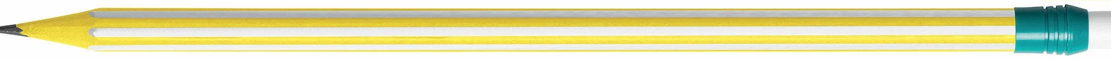BIC Evolution Stripes 12 matite HB media senza legno infrangibile