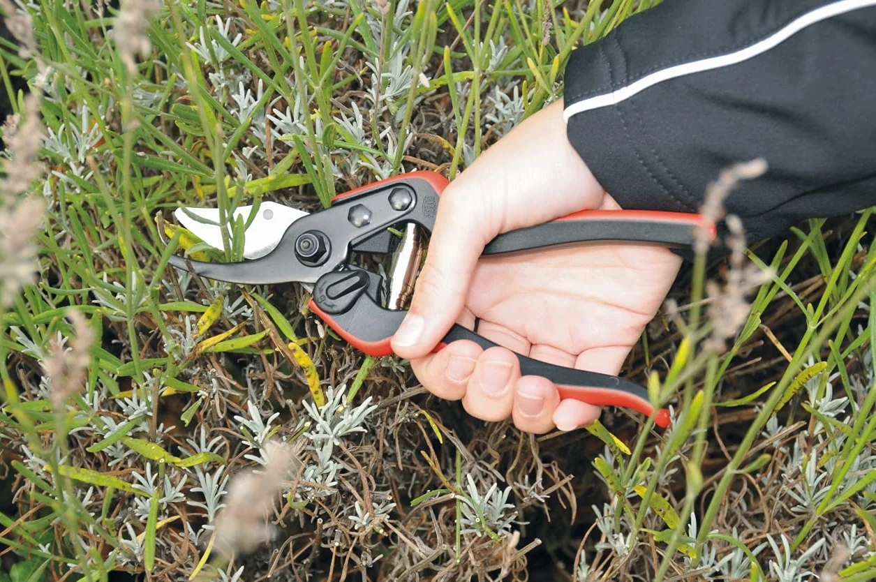 FELCO 160S Cesoia da Potatura Bypass, Capacità di Taglio 20mm, Manici Ultraleggeri in Fibra di Vetro