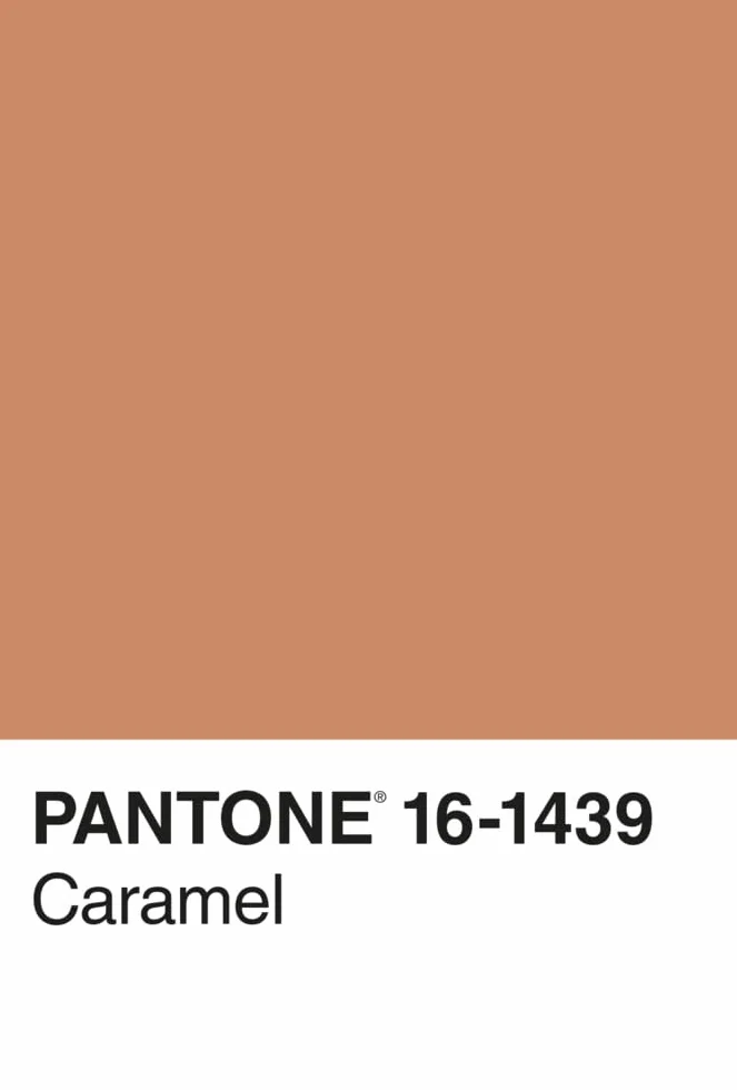 Pantone 100 Postkarten