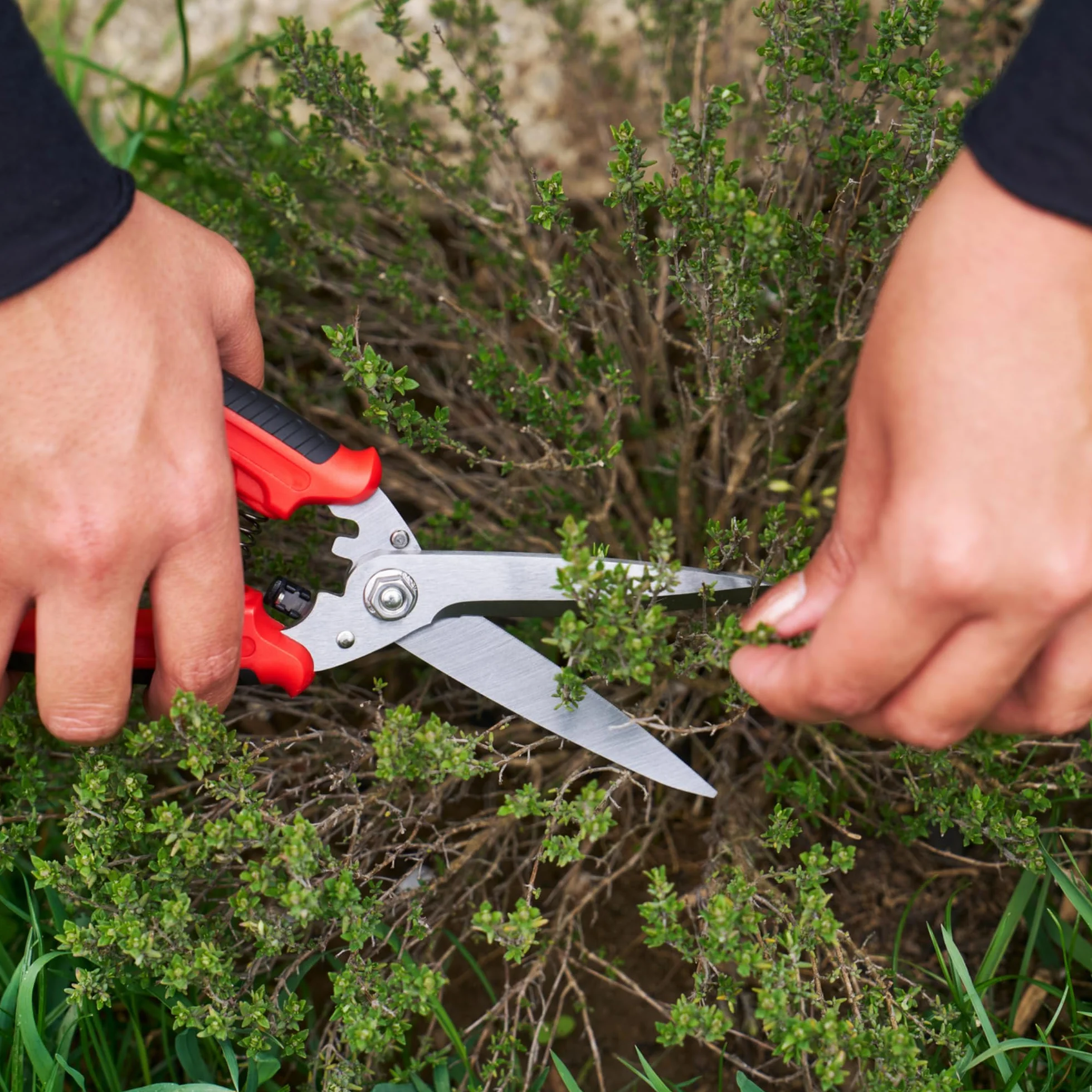 FELCO 456 Forbici Multiuso, Lame Curve in Acciaio Inossidabile, Lama Seghettata per Presa Sicura, Strumento da Taglio Multiuso per Giardino e Casa, Forbici di Precisione Premium