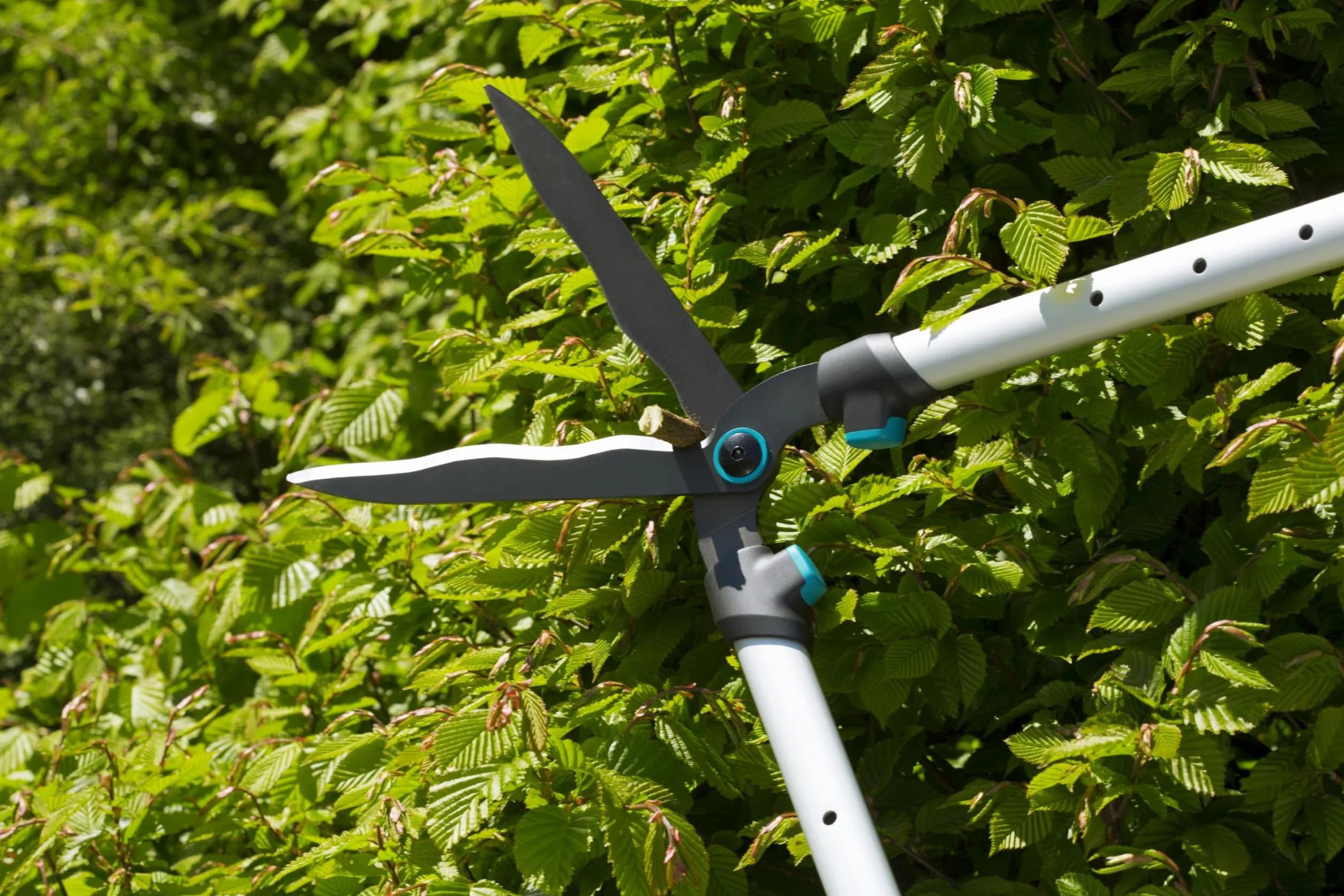 Gardena Cesoie per Siepi TeleCut 23 cm Lama Ondulata Telescopico 70-90 cm Rivestimento Antiaderente