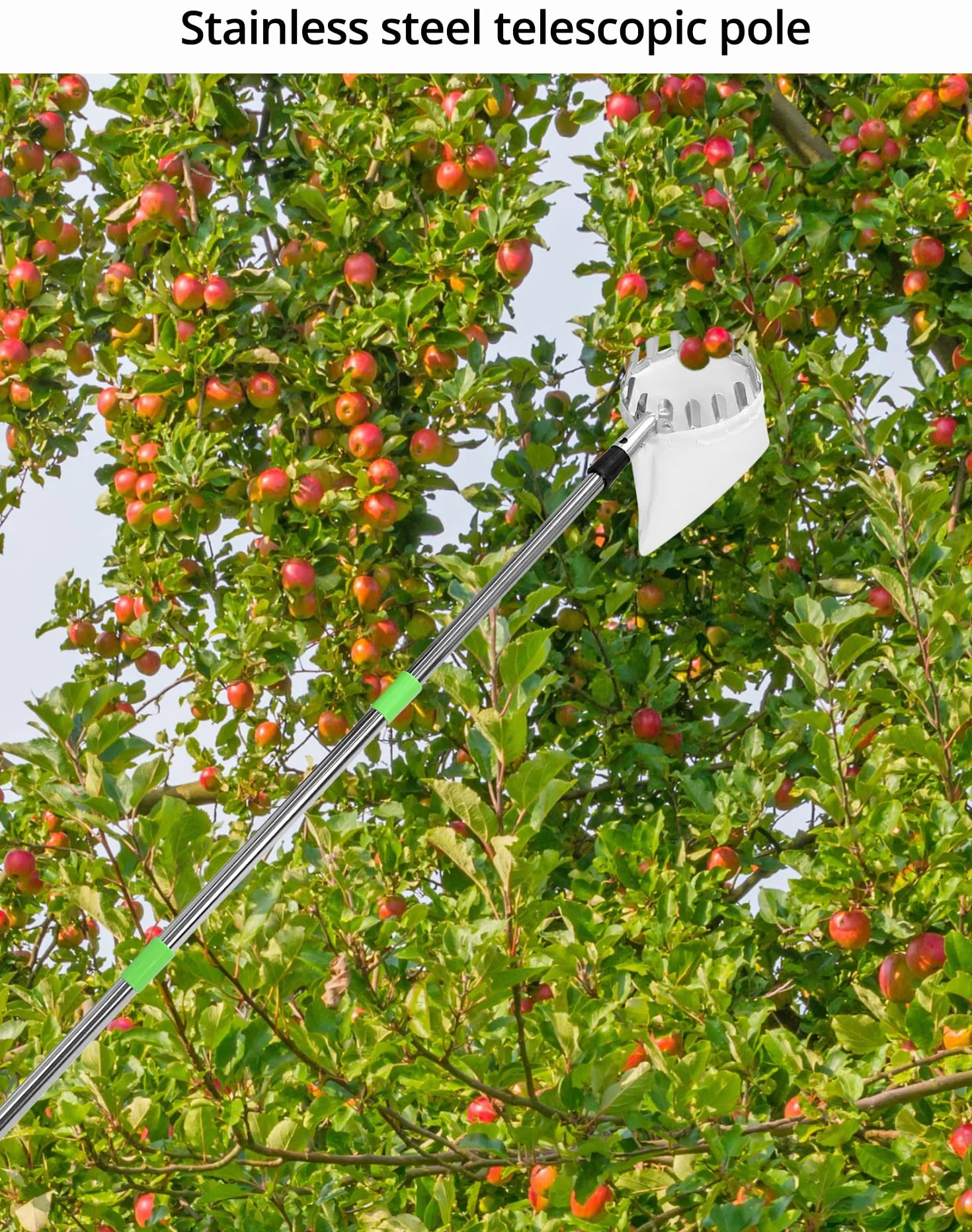 QWORK® Raccoglitrice di Frutta 4M con Manico telescopico, Acciaio Inossidabile, Strumento raccoglifrutta