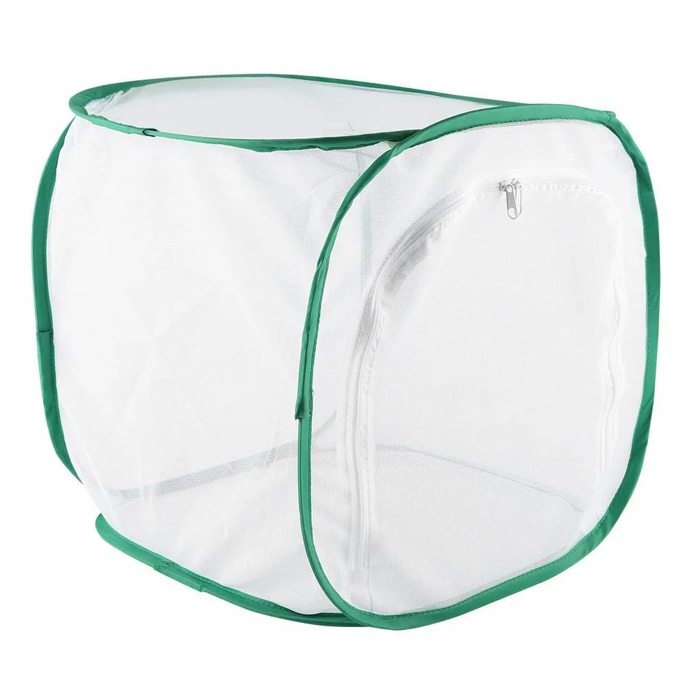Gabbia pieghevole per farfalle 30x30x30 cm Habitat insetti rete cerniera