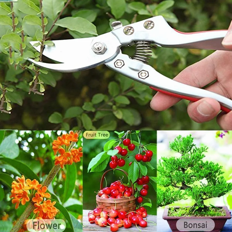 Forbici da Giardinaggio Cesoie da Potatura Lama Acciaio Inossidabile Troncarami per Piante Bonsai Fiori Siepi