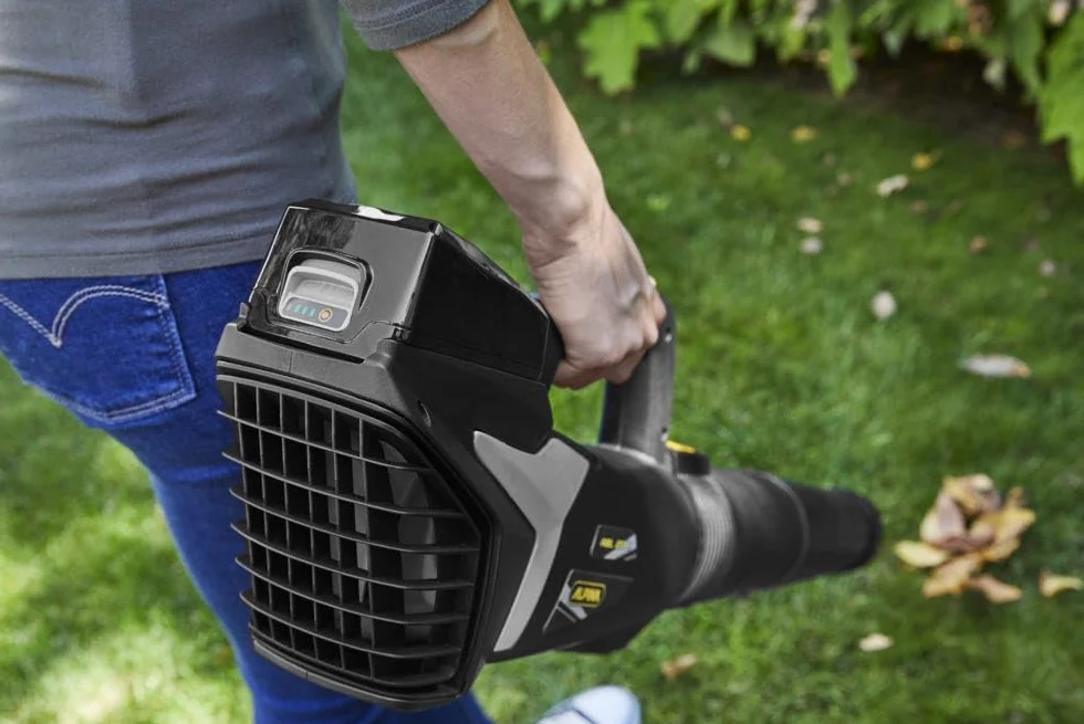 Alpina ABL 20 Li Kit Soffiatore A Batteria, 20V, 280 W – Tubo Rimovibile, Leggero, Ergonomico – Pulizia Giardino, Patio E Vialetto