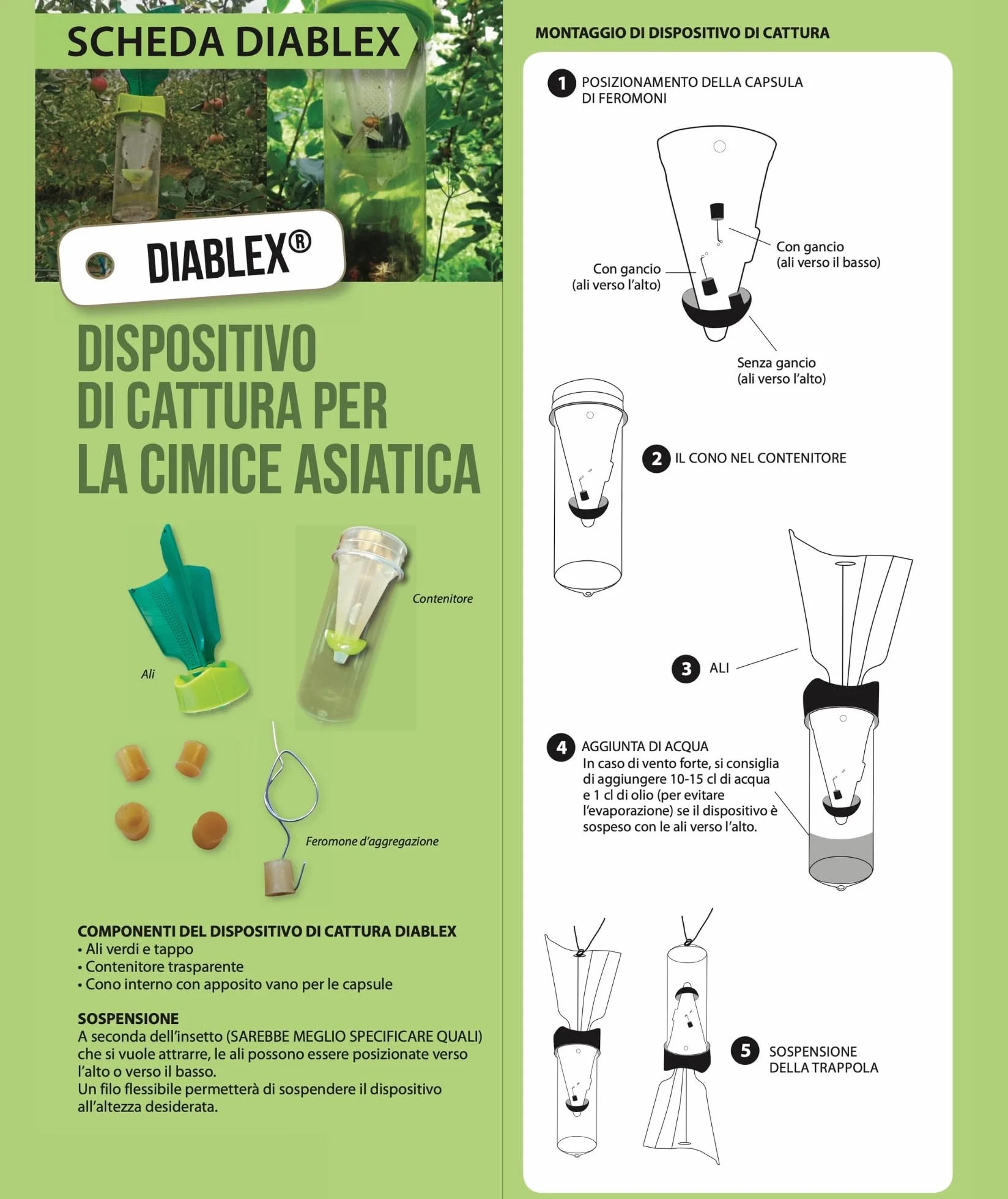 Trappola ecologica cimici asiatiche +2 attrattivo feromoni Kit Diablex