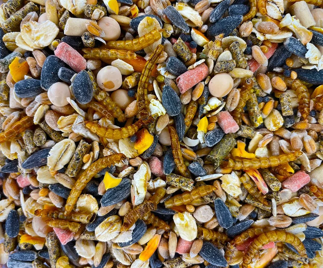 Cibo per uccelli selvatici 5 kg con semi di girasole tutto l'anno