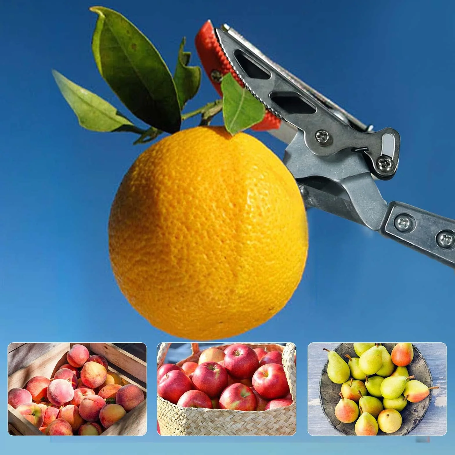 FLORA GUARD Forbici telescopiche 110-166 cm, raccoglifrutta con testa a lama girevole, alluminio