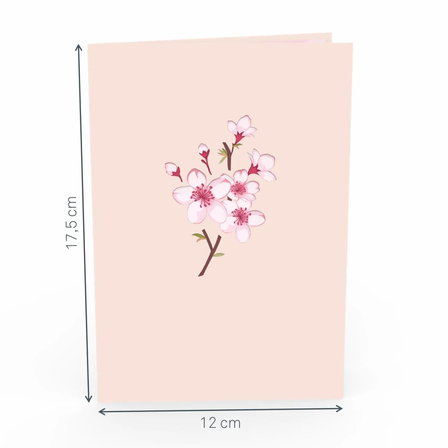 Papercrush Biglietto Pop-Up Sakura 3D Cartolina Auguri Fiori Ciliegio Regalo Compleanno Donna