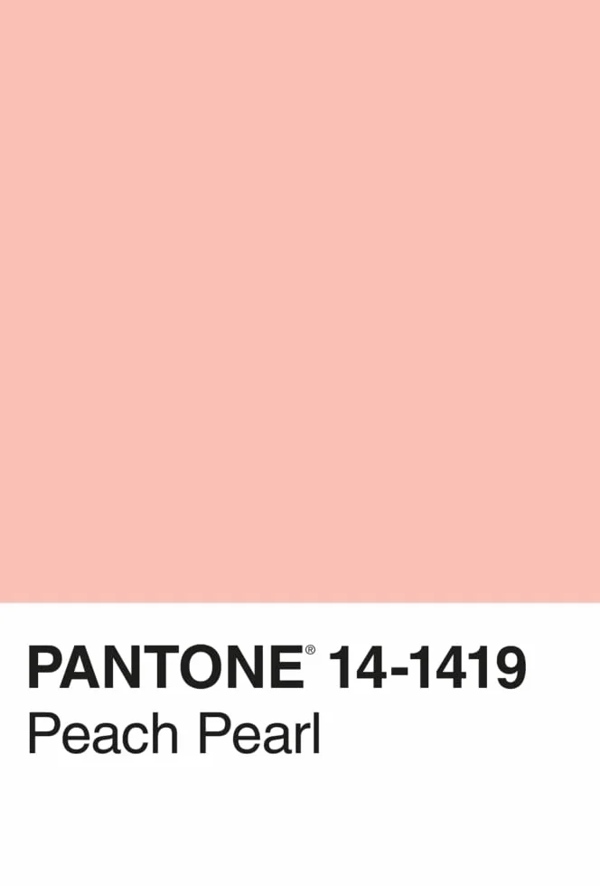 Pantone 100 Postkarten