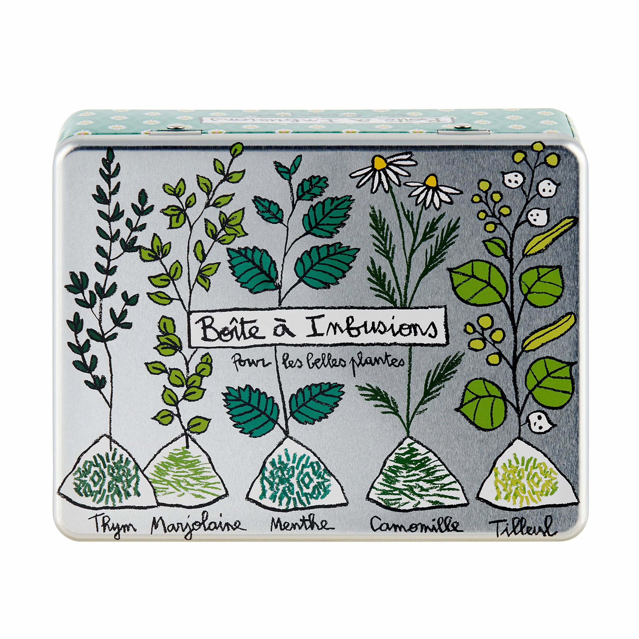 DLP Scatola per Tisane (con scomparto) - Infusi per Belle Piante