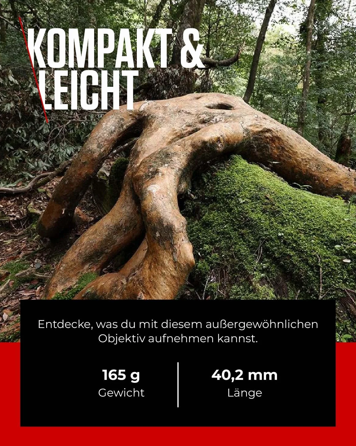 Canon Obiettivo RF 14-35mm F4L IS USM Zoom Ultra-Grandangolare Stabilizzatore Ottico 5 Stop
