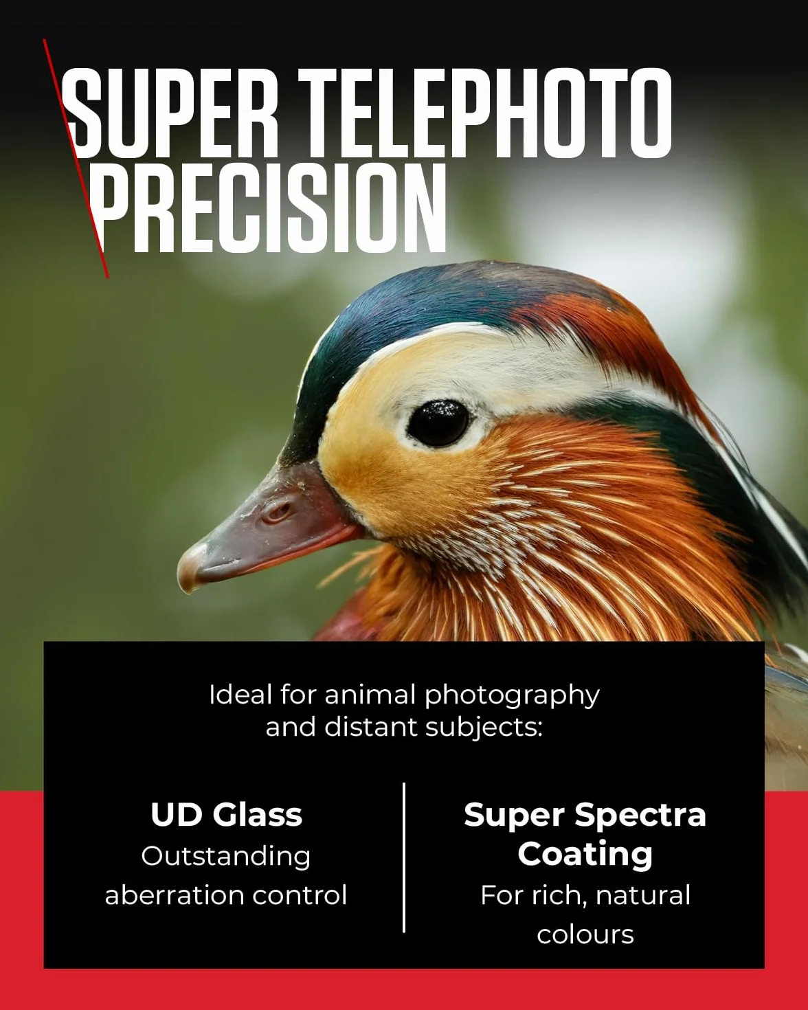 Canon Obiettivo RF 100-400mm F5.6-8 IS USM Teleobiettivo Zoom Stabilizzatore Ottico 5,5 Stop