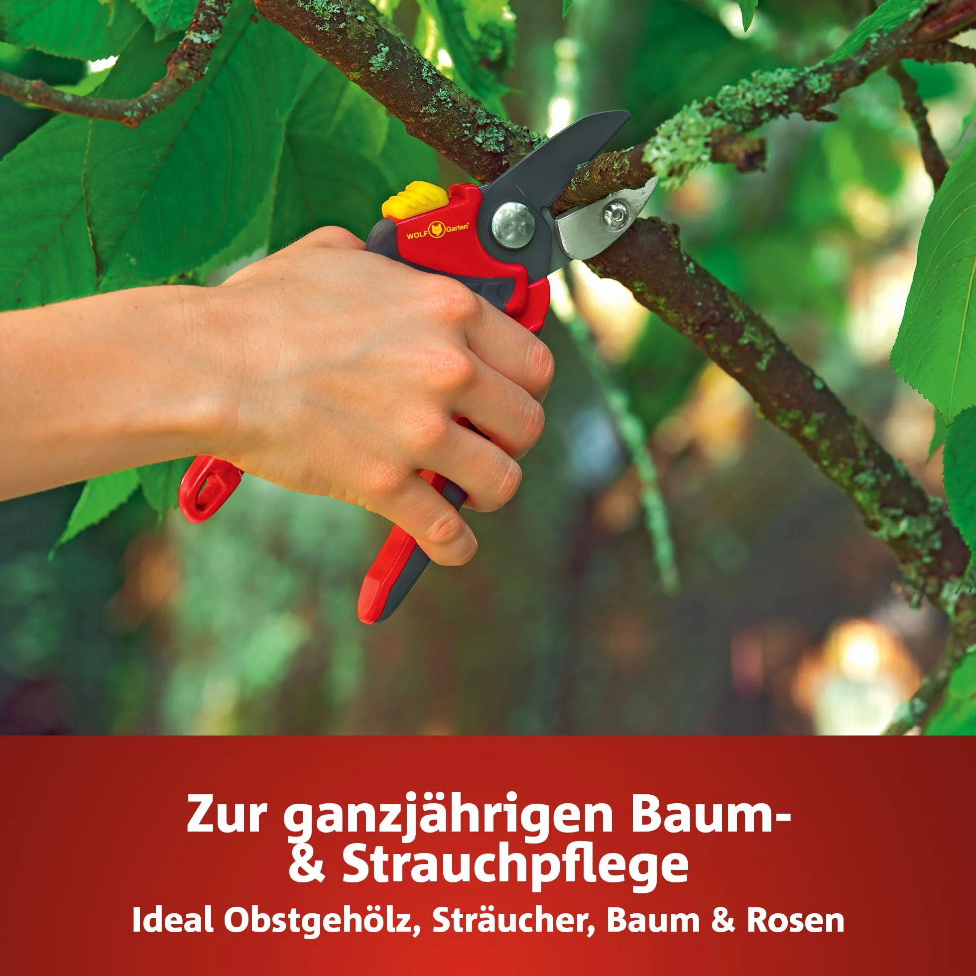 Wolf-Garten RS 4000 Premium Plus Cesoie a Battente, Rosso/grigio, 14x19x29 cm