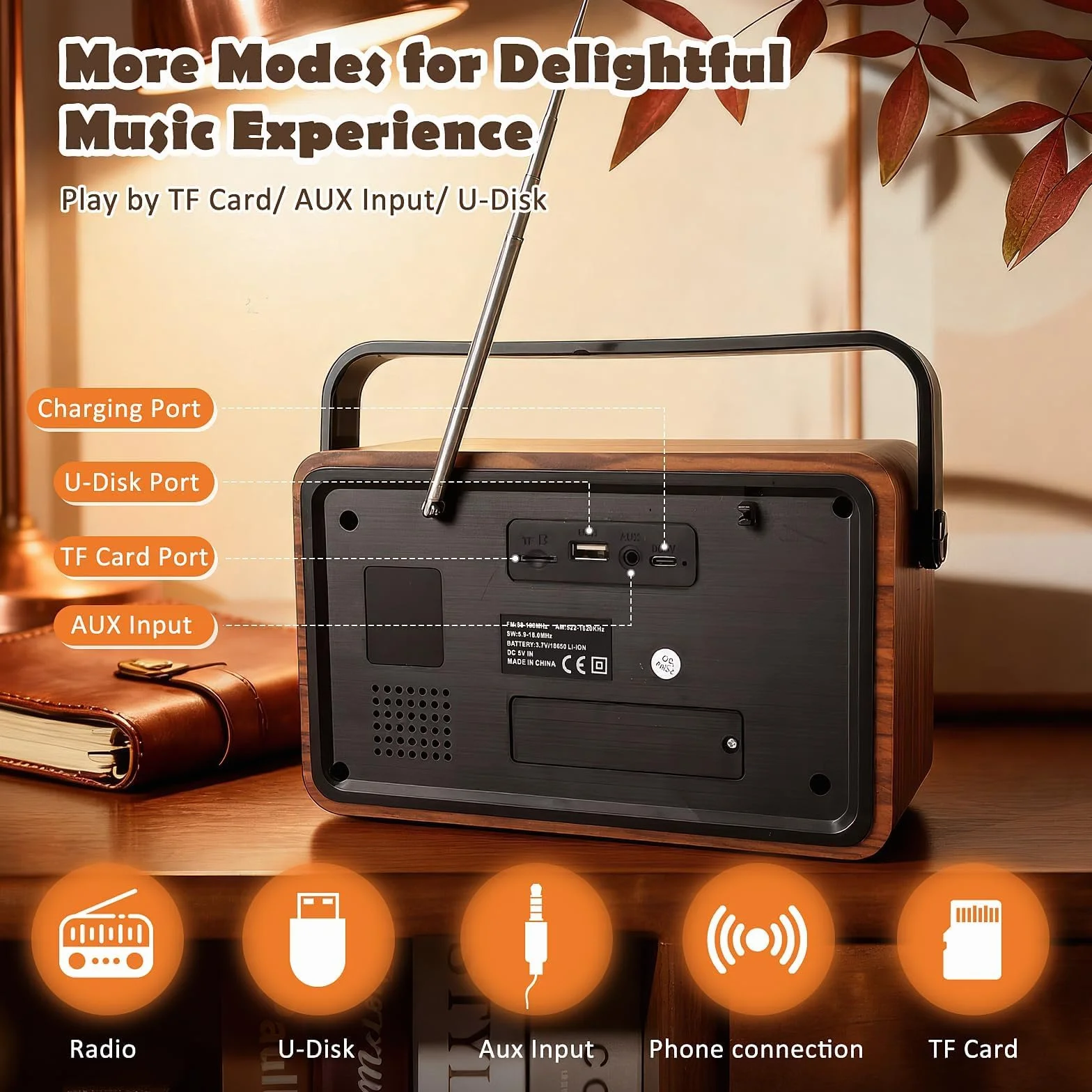 Radio Vintage Bluetooth Altoparlante Portatile con Lettore USB/TF/AUX Batteria Ricaricabile