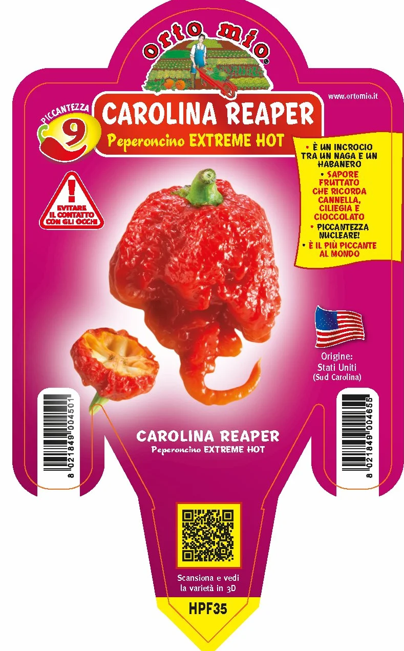 1 PIANTA IN VASO Ø 14CM PEPERONCINO PICCANTISSIMO CAROLINA REAPER ORTOMIO