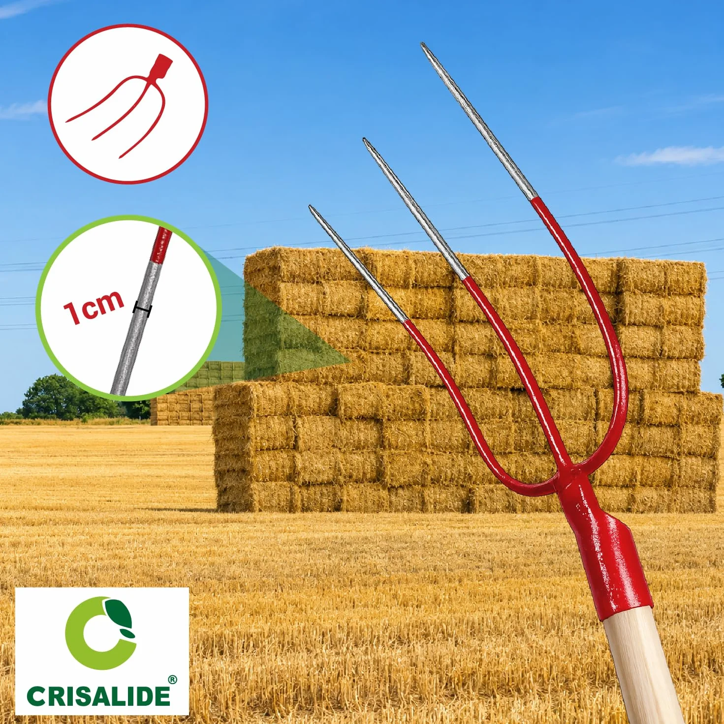 Crisalide® Forca per Fieno a 3 Denti Senza Manico – Forca in Acciaio Forgiato per Paglia, Fieno, Erbacce e Uso Agricolo Professionale