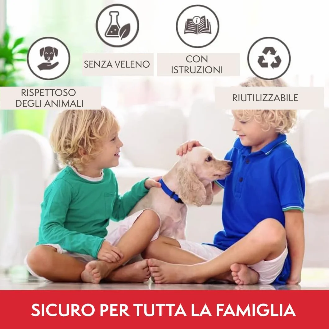 PATTLER® Trappola per Topi Vivi - Trappole per topi da Esterno e Interno - Trappole topi utilizzabili con esche per topi di vario genere - Trappola per Topi Grandi e Piccoli topi - Transparente 1 Pz