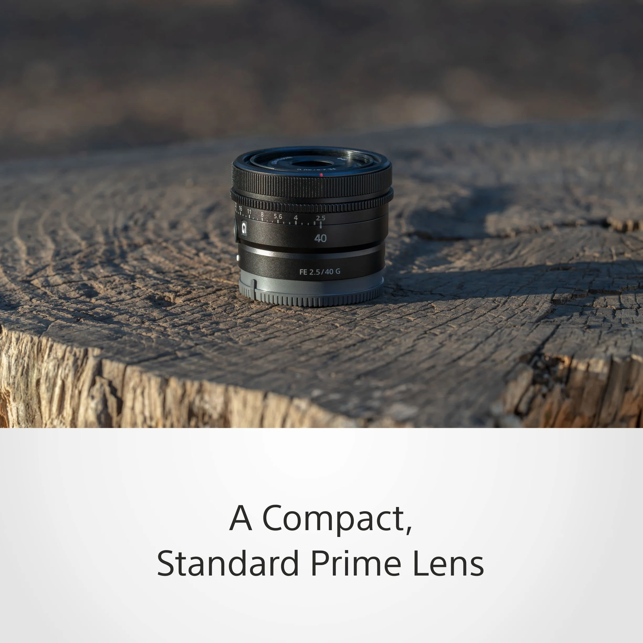 Sony SEL-40F25G Obiektyw Full-Frame 40mm F2.5 Premium Serie G Czarny