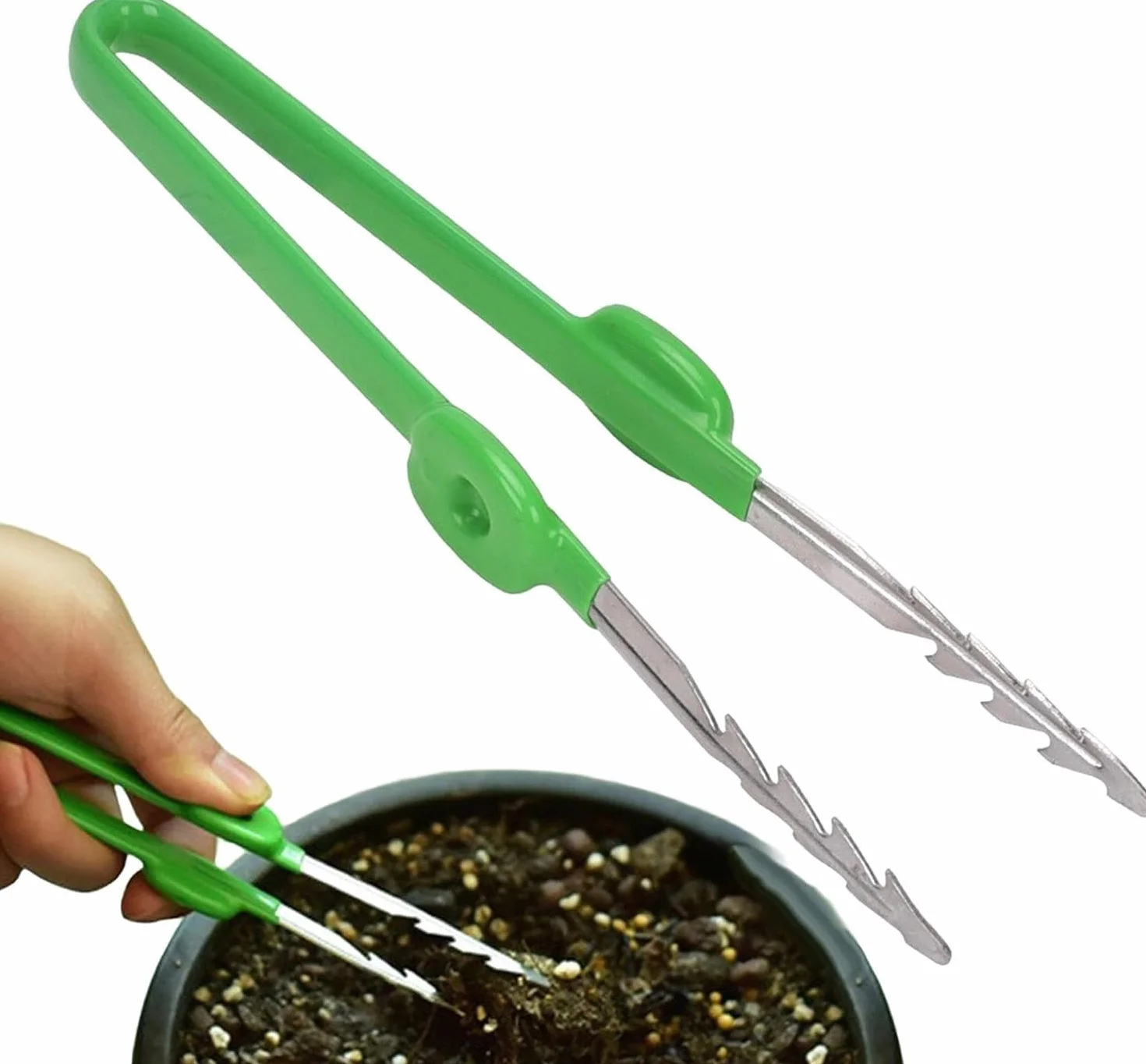 Pinzette da Giardino Professionali in Acciaio Inox Pinza a Punta Dritta Seghettata per Piante Succulente Cactus e Bonsai Strumento di Precisione Portatile per Trapianto e Cura Piante
