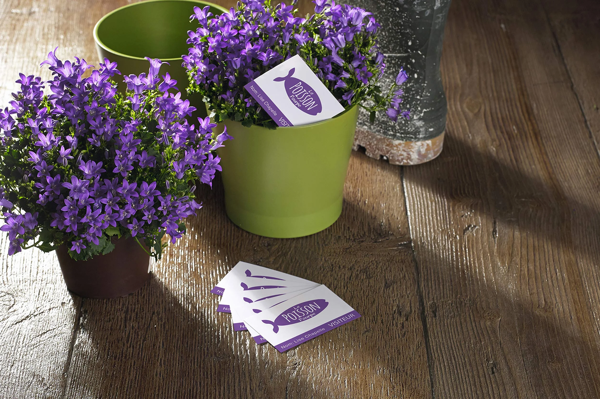 Avery Italia C32016-25 Biglietto da Visita Stampabile Fronte/Retro, 10 per Foglio, Confezione 25 Pezzi, Bianco