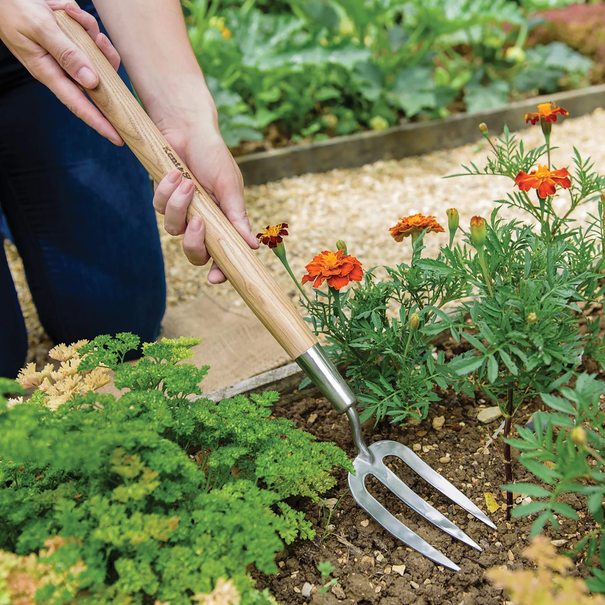 Kent & Stowe Forchetta lunga da giardino – Forcone giardinaggio in acciaio inossidabile, rastrello con manico lungo in frassino, lunghezza: 58,5 cm