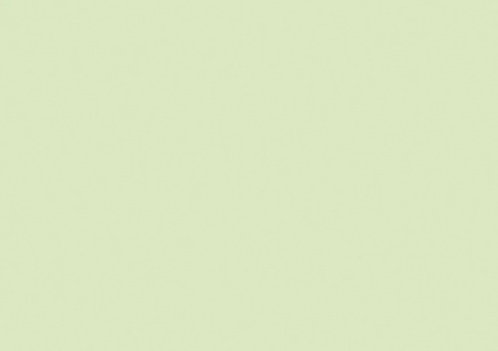 Baier & Schneider Cartoncini per schedario 180 g/mq A7 orizzontale Verde 100 Pezzi