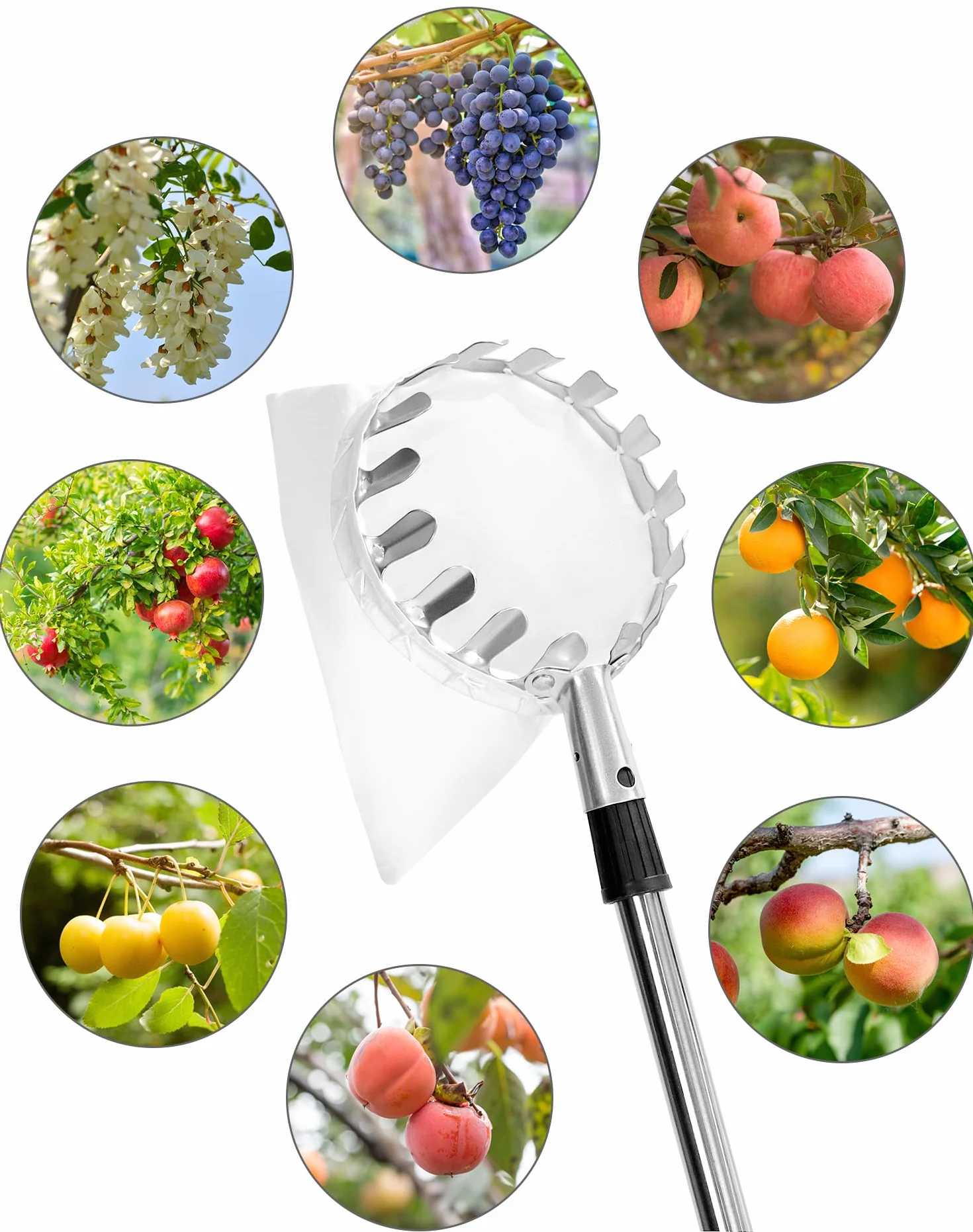 QWORK® Raccoglitrice di Frutta 4M con Manico telescopico, Acciaio Inossidabile, Strumento raccoglifrutta