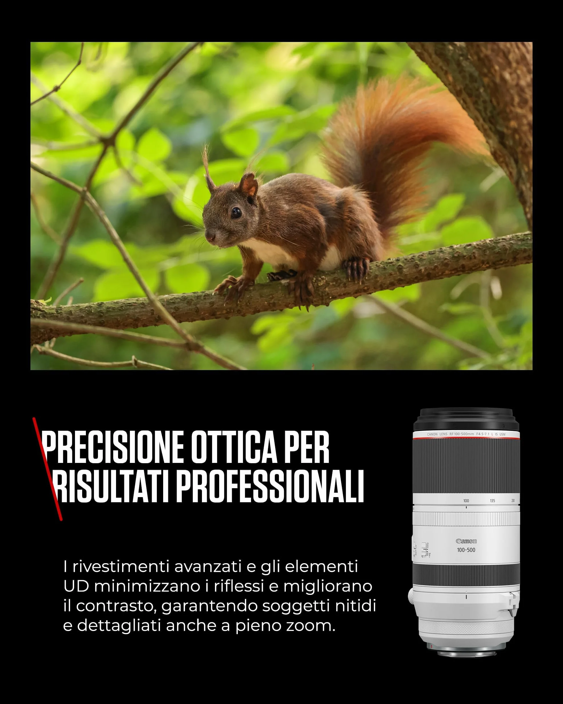 Canon RF 100-500mm F4.5-7.1L IS USM Obiettivo