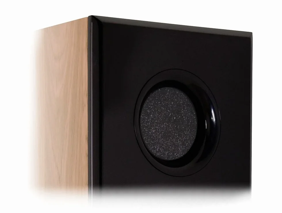 Ricable Custom BDA Bass Damper Tappi in Spugna Acustica per Reflex