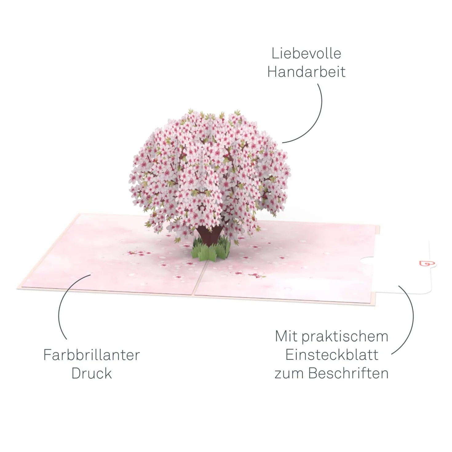 Papercrush Biglietto Pop-Up Sakura 3D Cartolina Auguri Fiori Ciliegio Regalo Compleanno Donna