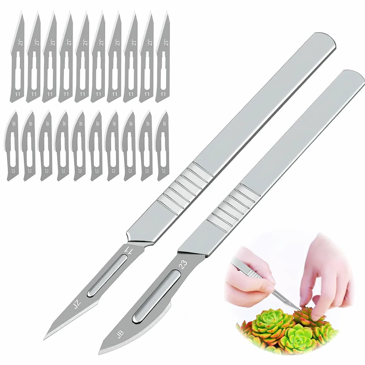 Coltello da Innesto, Coltello Artigianale, Coltello da Intaglio della Zucca, bisturi Chirurgico, Coltello da Innesto Giardino Comprese 20 Lame di Ricambio