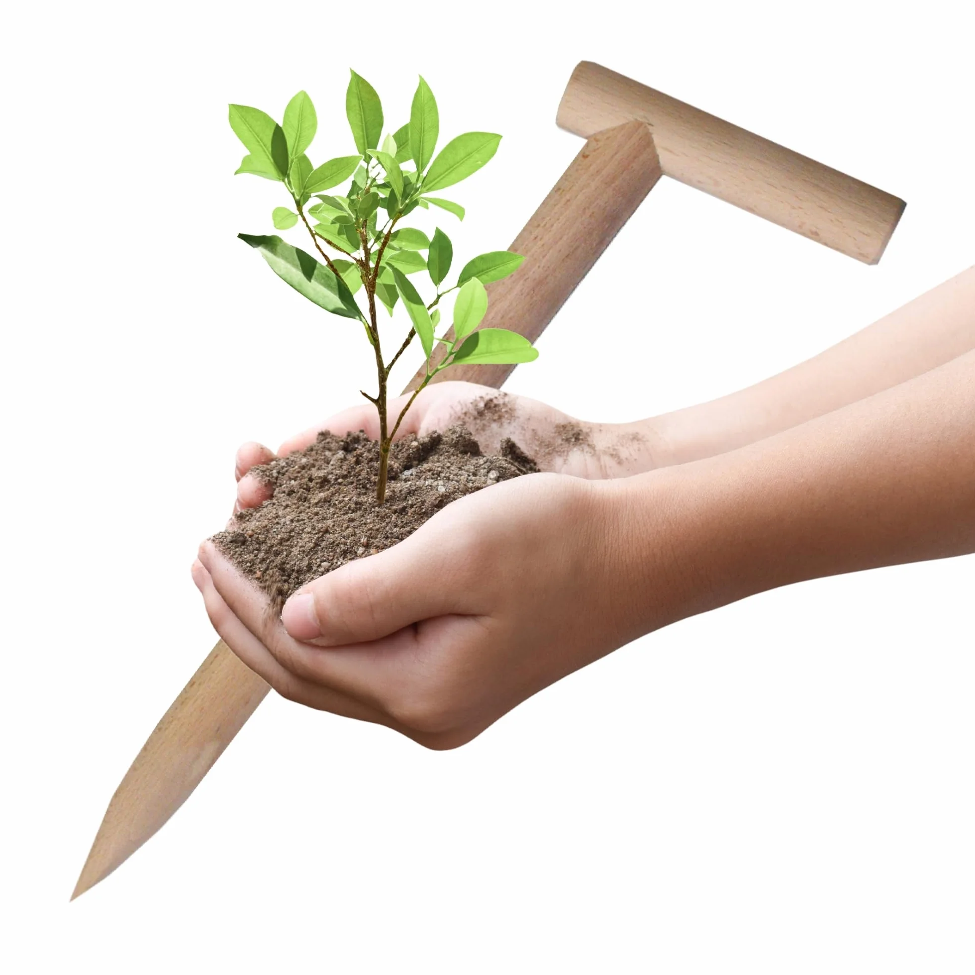 Albagarden - Piantatore Per Orto In Legno Naturale - Foraterra O Trapiantatore Manuale Per Piantine - Resistente E Leggero Utile Per Attrezzi Da Giardino E Giardinaggio - 44 x 13 x 3 cm