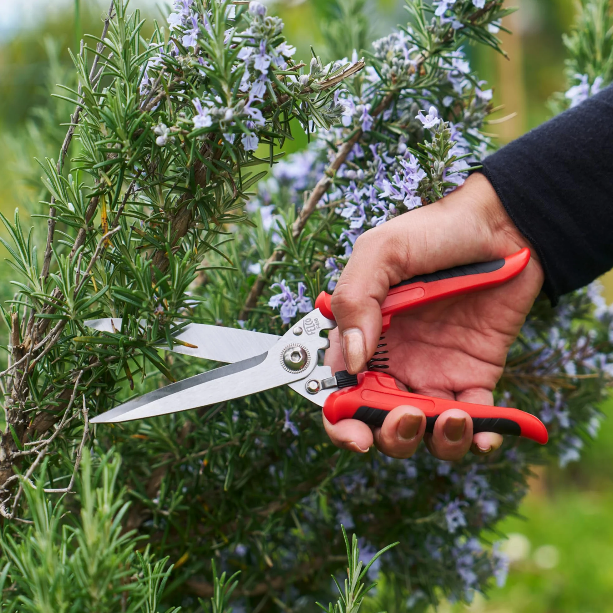 FELCO 456 Forbici Multiuso, Lame Curve in Acciaio Inossidabile, Lama Seghettata per Presa Sicura, Strumento da Taglio Multiuso per Giardino e Casa, Forbici di Precisione Premium